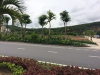 Đất nền sổ đỏ biệt thự view biển đồi Thủy Sản mở bán giai đoạn 1 Đất nền sổ đỏ biệt thự view biển đồi Thủy Sản mở bán giai đoạn 1