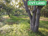 Bán đất tại ấp suối da tân hưng đồng phú bình phước Bán đất tại ấp suối da tân hưng đồng phú bình phước