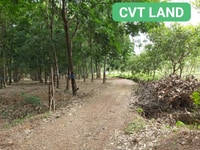 Bán đất tại ấp quân y tân lợi đồng phú bình phước Bán đất tại ấp quân y tân lợi đồng phú bình phước