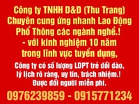 Công Ty TNHH D & D Thu Trang chuyên cung ứng lao động phổ thông Công Ty TNHH D & D Thu Trang chuyên cung ứng lao động phổ thông