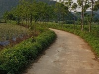 Công ty TNHH ALMIGHTY VIETNAM cần tuyển