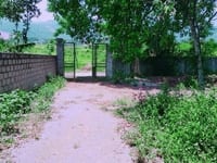 Bán gấp 6400m2 đất thổ cư lương sơn, view cánh đồng Bán gấp 6400m2 đất thổ cư lương sơn, view cánh đồng