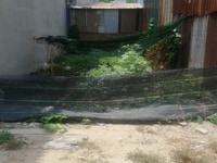Bán đất ngay bình chuẩn 09 Thuận an 80m2 giá chỉ 750tr sổ hồng riêng Bán đất ngay bình chuẩn 09 Thuận an 80m2 giá chỉ 750tr sổ hồng riêng