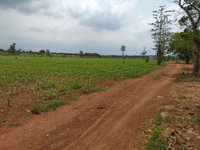8130m2 đất giá rẻ xã xuân đông, huyện cẩm mỹ 8130m2 đất giá rẻ xã xuân đông, huyện cẩm mỹ