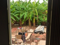 Chính chủ Bán Nhà gác lửng mới xây ấp Vĩnh Lạc, Hòa Bình, Bạc Liêu Chính chủ Bán Nhà gác lửng mới xây ấp Vĩnh Lạc, Hòa Bình, Bạc Liêu