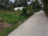 Nền Đẹp Mỹ Thạnh An Tp Bến Tre Full Thổ cư 132m2. Nền Đẹp Mỹ Thạnh An Tp Bến Tre Full Thổ cư 132m2.