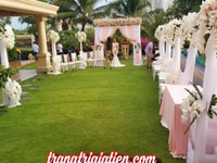 Cho thuê thảm cỏ nhân tạo giá rẻ nhất sài gòn Cho thuê thảm cỏ nhân tạo giá rẻ nhất sài gòn