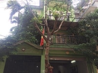 Cho thuê nhà Lạc Trung 80m2x4T mặt tiền 7m có gara ô tô Cho thuê nhà Lạc Trung 80m2x4T mặt tiền 7m có gara ô tô