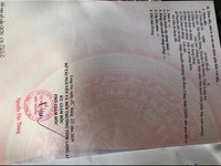 Cần bán lô đất của rẻ nhất hành tinh mùa Covid Thứ 7 Cần bán lô đất của rẻ nhất hành tinh mùa Covid Thứ 7