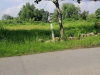 Bán đất mặt tiền đường đỗ văn thi thành phố biên hoà