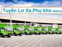 Tuyển vị trí lơ xe tài xế và phụ kho xếp hàng trong kho Tuyển vị trí lơ xe tài xế và phụ kho xếp hàng trong kho