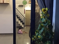 Bán nhà mới xây lã xuân oai, 57m2, 1 trệt 1 lửng Bán nhà mới xây lã xuân oai, 57m2, 1 trệt 1 lửng