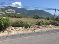 Cần bán đất MT nguyên huệ wiew biển.đất tai định cư