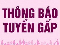 Tuyển gấp gấp gấp nhân viên tạp vụ tại siêu thị Tuyển gấp gấp gấp nhân viên tạp vụ tại siêu thị