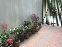 Bán nhà phân lô ngõ Chùa Láng Đống Đa 77m 4 tầng mặt tiền 4m 4.6 tỷ Bán nhà phân lô ngõ Chùa Láng Đống Đa 77m 4 tầng mặt tiền 4m 4.6 tỷ
