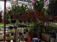 Bán nhà đẹp chính chủ mặt tiền đường số 16, Q. Bình Tân, 90m2 Bán nhà đẹp chính chủ mặt tiền đường số 16, Q. Bình Tân, 90m2