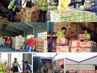 Việc Làm Lao Động Phổ Thông Lương Cao Bao Ăn Ở tại cần thơ Việc Làm Lao Động Phổ Thông Lương Cao Bao Ăn Ở tại cần thơ