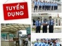 Việc làm hà nội Tuyển Bảo Vệ cho Tòa Nhà, Nhà Máy,Khu Đô Thị, Siêu Thị Việc làm hà nội Tuyển Bảo Vệ cho Tòa Nhà, Nhà Máy,Khu Đô Thị, Siêu Thị