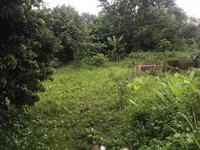 Cần bán lô đất tại xã nhuận trạch có 715m2 và 200m2 đất thổ cư Cần bán lô đất tại xã nhuận trạch có 715m2 và 200m2 đất thổ cư
