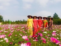 Nhượng Lại Đất Biệt Thự vườn The Phoenix Garden GIÁ 19 triệu/m2 Nhượng Lại Đất Biệt Thự vườn The Phoenix Garden GIÁ 19 triệu/m2