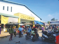 Đầu tư đất chợ Cái Sắn, Thành phố Long Xuyên, đã có sổ