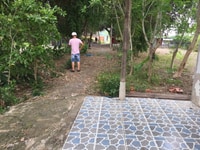Bán 1960m đất vườn đường nguyển văn thê xã qui đức huyện bình chánh Bán 1960m đất vườn đường nguyển văn thê xã qui đức huyện bình chánh
