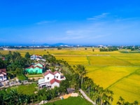 Kẹt vốn nên sang lại villa lúa khu Cẩm Châu Kẹt vốn nên sang lại villa lúa khu Cẩm Châu