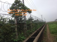 Mua dây thép gai hình dao ở đâu Hà Nội Mua dây thép gai hình dao ở đâu Hà Nội