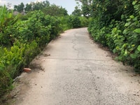 Bán nền mặt tiền lộ ôtô 4m, KV Thạnh mỹ, phường Thường Thạnh Bán nền mặt tiền lộ ôtô 4m, KV Thạnh mỹ, phường Thường Thạnh