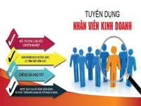 Tuyển nhân viên kinh doanh không yêu cầu kinh nghiệm Tuyển nhân viên kinh doanh không yêu cầu kinh nghiệm