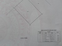 Bán đất DT: 42x60m = 2500m2, Bình Khánh, Cần Giờ Bán đất DT: 42x60m = 2500m2, Bình Khánh, Cần Giờ