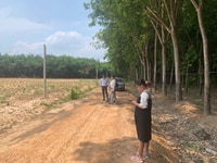 Chuyển nhượng lô đất dầu tiếng 320tr/1000m2 cách nhựa 900m Chuyển nhượng lô đất dầu tiếng 320tr/1000m2 cách nhựa 900m