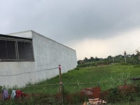 Bán 2 lô 160m2/1,2 tỷ sát Quốc lộ 50 khu công nghiệp Tân Kim Bán 2 lô 160m2/1,2 tỷ sát Quốc lộ 50 khu công nghiệp Tân Kim