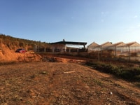 Bán 5000m2 đất nông nghiệp tại xã Tà Nung thành phố Đà Lạt Bán 5000m2 đất nông nghiệp tại xã Tà Nung thành phố Đà Lạt