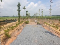 Đất biệt thự vườn 530 triệu. Sổ hồng, sang tên ngay. Đất biệt thự vườn 530 triệu. Sổ hồng, sang tên ngay.