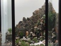 Nhà MTNB Bình Phú 1, 4x19m, 1 Trệt 2 Lầu Sân Thượng Nhà MTNB Bình Phú 1, 4x19m, 1 Trệt 2 Lầu Sân Thượng