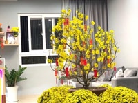 Bán Căn 2 phòng ngủ - Full Nội Thất Cao Cấp - Bao Phí Ra Sổ Bán Căn 2 phòng ngủ - Full Nội Thất Cao Cấp - Bao Phí Ra Sổ
