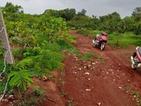 5300m2 đất đỏ bazan giá rẻ xã xuân tâm huyện xuân Lộc 5300m2 đất đỏ bazan giá rẻ xã xuân tâm huyện xuân Lộc
