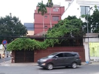 Nhà hẻm 6m cho thuê đường Hai Bà Trưng Q1 68tr/t 72m2 3 lầu Nhà hẻm 6m cho thuê đường Hai Bà Trưng Q1 68tr/t 72m2 3 lầu