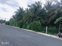 Còn vài lô đất đẹp sau khu công nghiệp tân hương và khu tái định cư Còn vài lô đất đẹp sau khu công nghiệp tân hương và khu tái định cư