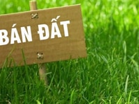 Đất nền quán bàu tp vinh nghệ an Đất nền quán bàu tp vinh nghệ an