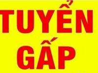 Cần tuyển nhân viên nhập số liệu, không cần Kinh Nghiệm