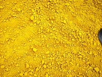 Bán bột Berberin chiết xuất từ thảo dược
