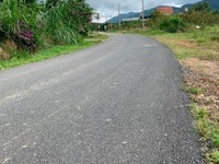 1,4 ha (14 sào đất )đường Blaosire ô tô tân nơi TP. Bảo Lộc giá 2,4 tỷ