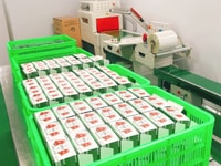 Tuyển nhân viên đóng gói hàng ca 8 tiếng Tuyển nhân viên đóng gói hàng ca 8 tiếng