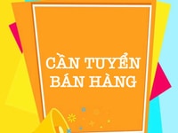 Chi nhánh Gò Vấp cần bổ sung gấp nam nữ Chi nhánh Gò Vấp cần bổ sung gấp nam nữ