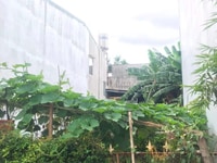 Đất đẹp thổ cư 100% hẻm 126 Ymoanl 1 tỷ620 Đất đẹp thổ cư 100% hẻm 126 Ymoanl 1 tỷ620