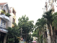 Nguyễn Đình Khơi,P4,Tân Bình; hẻm nhựa 8m sang trọng; 6.1x17m; 17.5 tỷ Nguyễn Đình Khơi,P4,Tân Bình; hẻm nhựa 8m sang trọng; 6.1x17m; 17.5 tỷ
