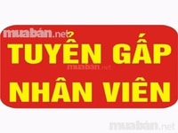 Tuyển gấp Lao Động Phổ Thông Bán Hàng Tại Chỗ Không Cần Kinh Nghiệm Tuyển gấp Lao Động Phổ Thông Bán Hàng Tại Chỗ Không Cần Kinh Nghiệm
