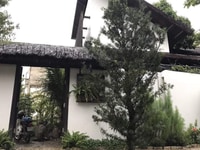 Bán đất vị trí đẹp mặt đường Hàn Thuyên, Biên Hoà, Đồng Nai Bán đất vị trí đẹp mặt đường Hàn Thuyên, Biên Hoà, Đồng Nai
